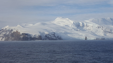 The icefish lives among icebergs and pale fish. The name icefish stems from the fact that these fish inhabit the icy waters of Antarctica's Southern Ocean, and are the only vertebrates that have none of the red oxygen-transporting pigment – haemoglobin – in their blood, which is why they are pale and have milky blood.
Photo: Antarctica. Astrolabe Needle, Brabant Island.