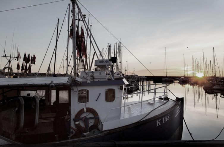 Dagen arrangeres af FSK, Foreningen for Skånsomt Kystfiskeri i samarbejde med VisitNordsjælland, Helsingør Kommune, Nordic Foodworks, Helsingør Havn og Fiskerikajen ApS med støtte fra Region Hovedstaden og Vækstforum via projektet Maritim Turisme. (Fotos venligst udlånt af Skånsomt Kystfiskeri)